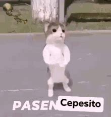 cepesito blogspot|Grupos y Canales activos de cepecito ¡Sin Censura!.
